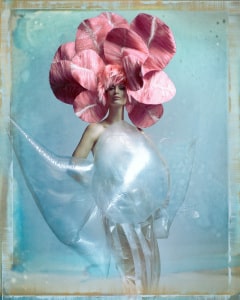 Avant Garde 2012 Pink