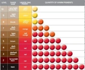 Natural Level chart
