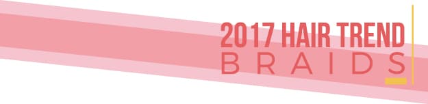 2017 hair trend - braids divider graphic