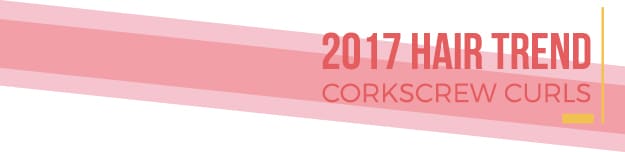 2017 hair trend - corkcrew curls divider graphic