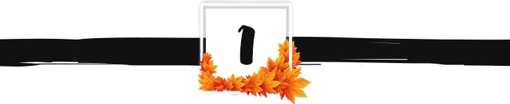 fall divider graphic 1