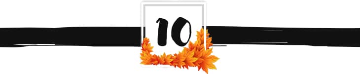 fall divider graphic 10