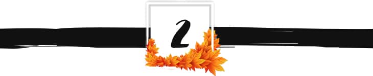fall divider graphic 2