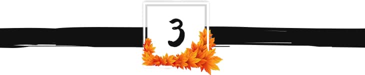 fall divider graphic 3