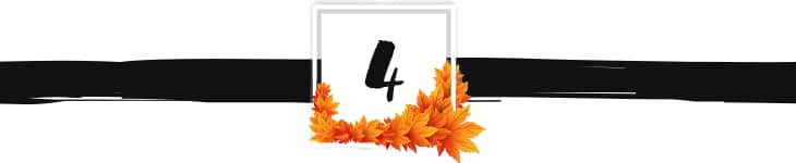 fall divider graphic 4