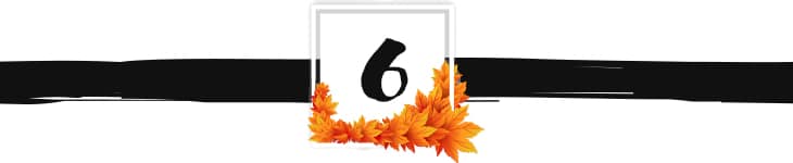 fall divider graphic 6