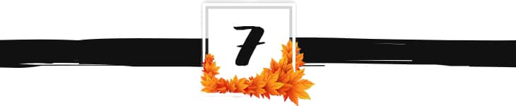 fall divider graphic 7