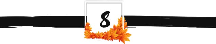 fall divider graphic 8
