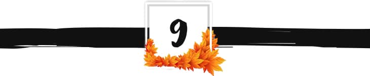 fall divider graphic 9