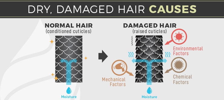 dry damaged hair causes